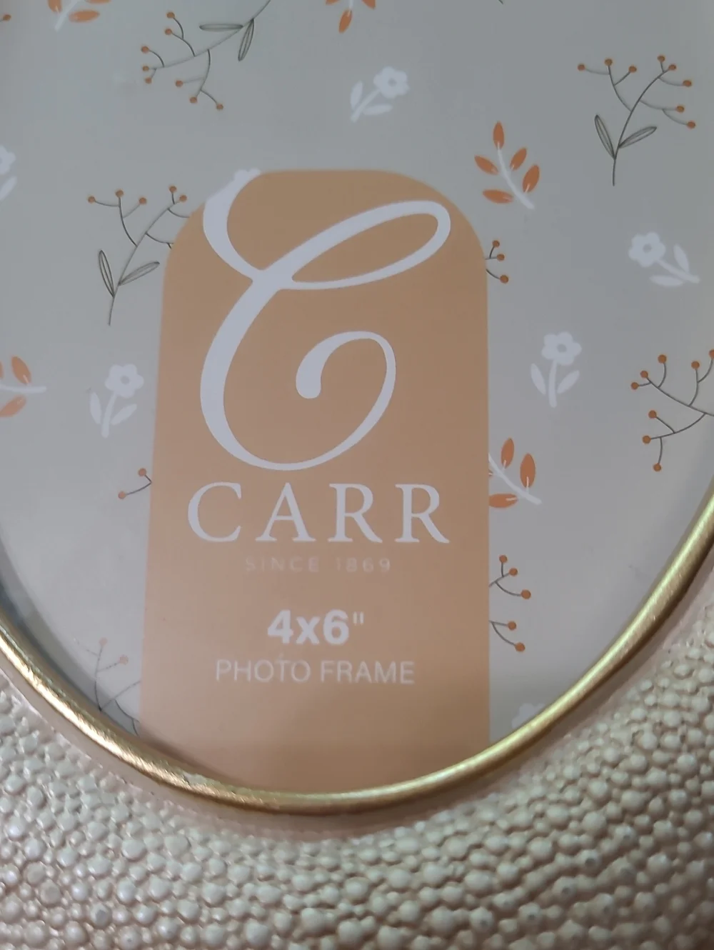 Carr Oval Photo Frame